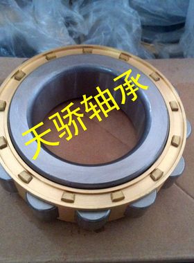 减速机轴承 RN205E RN206E RN307E RN309E RN312E RN219E  RN222E