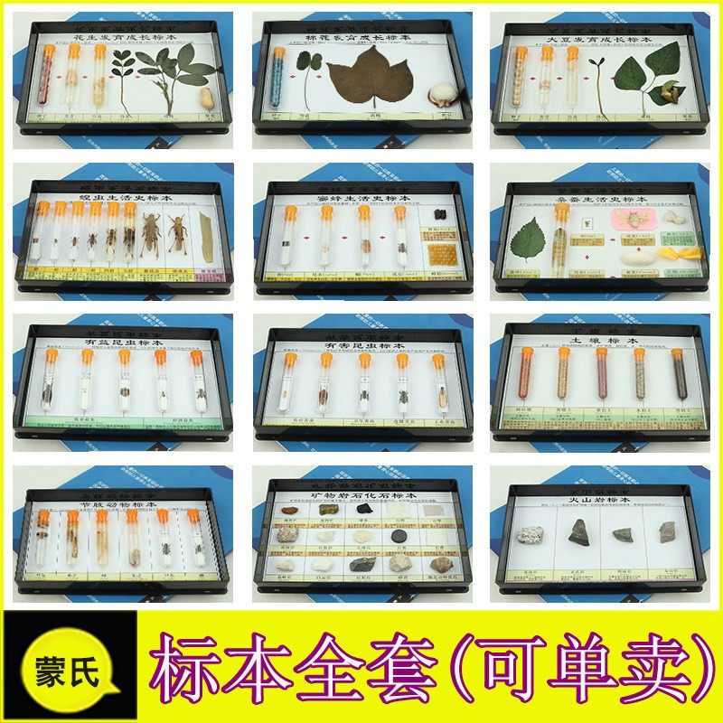 蒙氏科学教具早教幼儿益智标本教具昆虫玩具动物植物区域材料全套,玩具/童车/益智/积木/模型,其它早教玩具类,淘宝优惠券,粉丝福利购,淘宝优惠卷