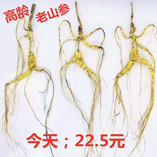 山参东北林下参长白山10克13年