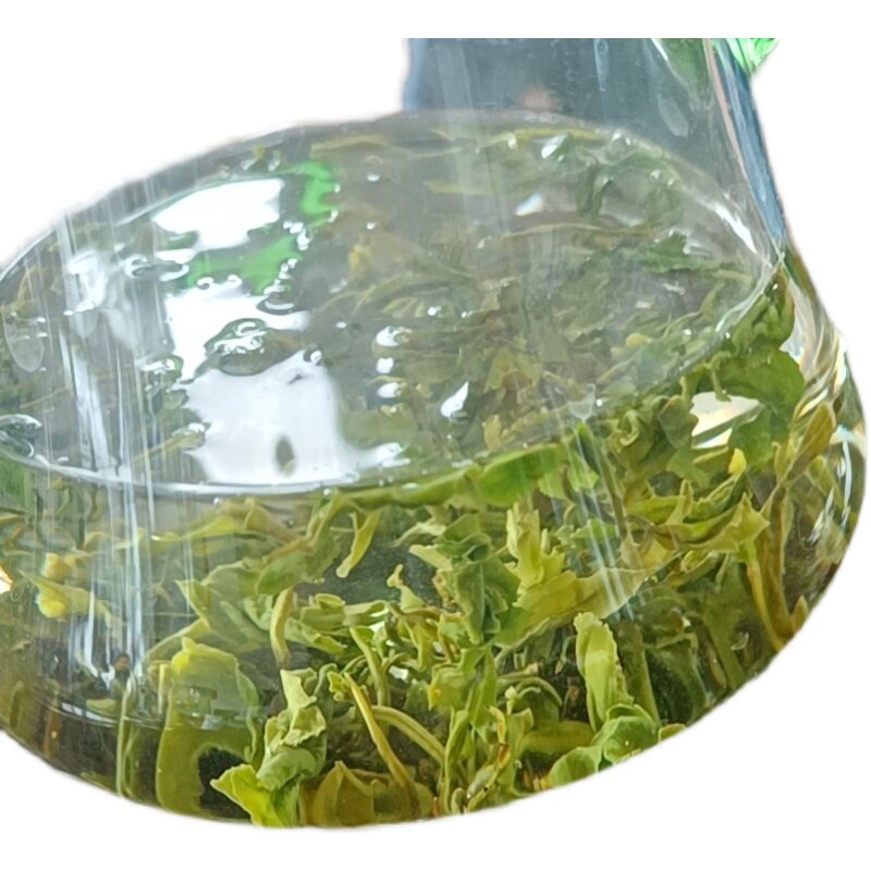 新货绿茶新茶北极之春特制日照绿茶2026特产山东绿茶包邮原产地直