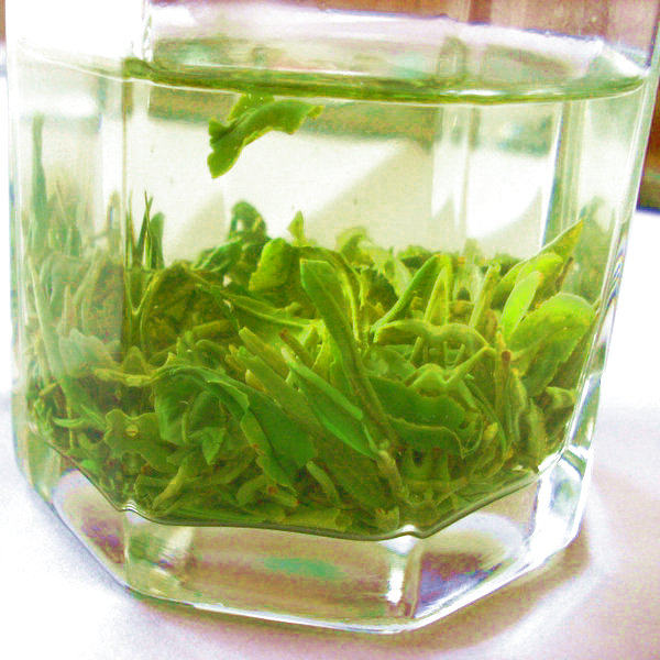 绿茶日照绿茶新茶2025新现炒一份包邮500克春茶香醇好喝日照茶,茶,日照绿茶,淘宝优惠券,粉丝福利购,淘宝优惠卷