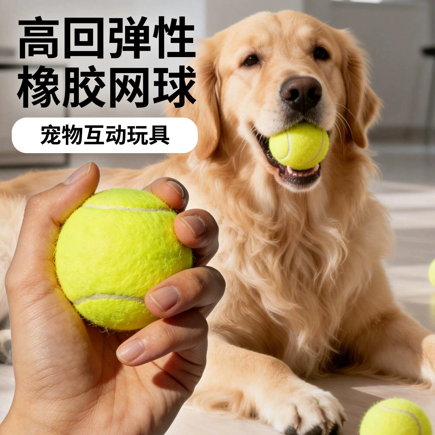 狗狗玩具球耐咬小狗狗幼犬户外球大型犬马犬磨牙宠物狗训练球