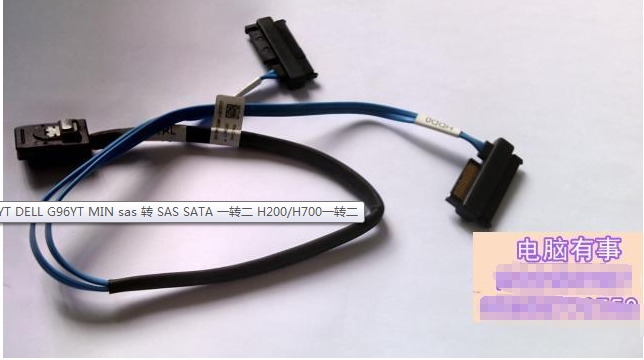 G96YT DELL G96YT MIN sas 转 SAS SATA 一转二 H200/H700一转二 畜牧/养殖物资 畜牧/养殖器械 原图主图