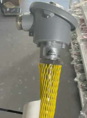 AALBORG温度传感器，型号AI 8060000025，1