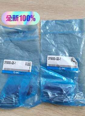 安装附件SY5000-GS-1