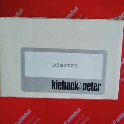 Kieback Peter D592Z22 科特贝德压力