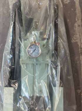 丹柯斯手动泵，型号160U7520，带压力表显示，压力范