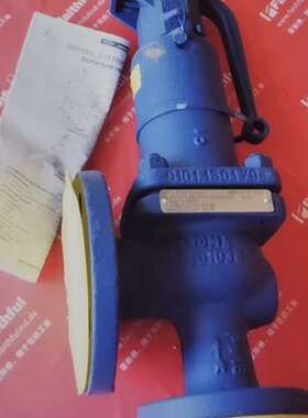 ARI Fig 12.903 DN32 DN20 艾瑞安