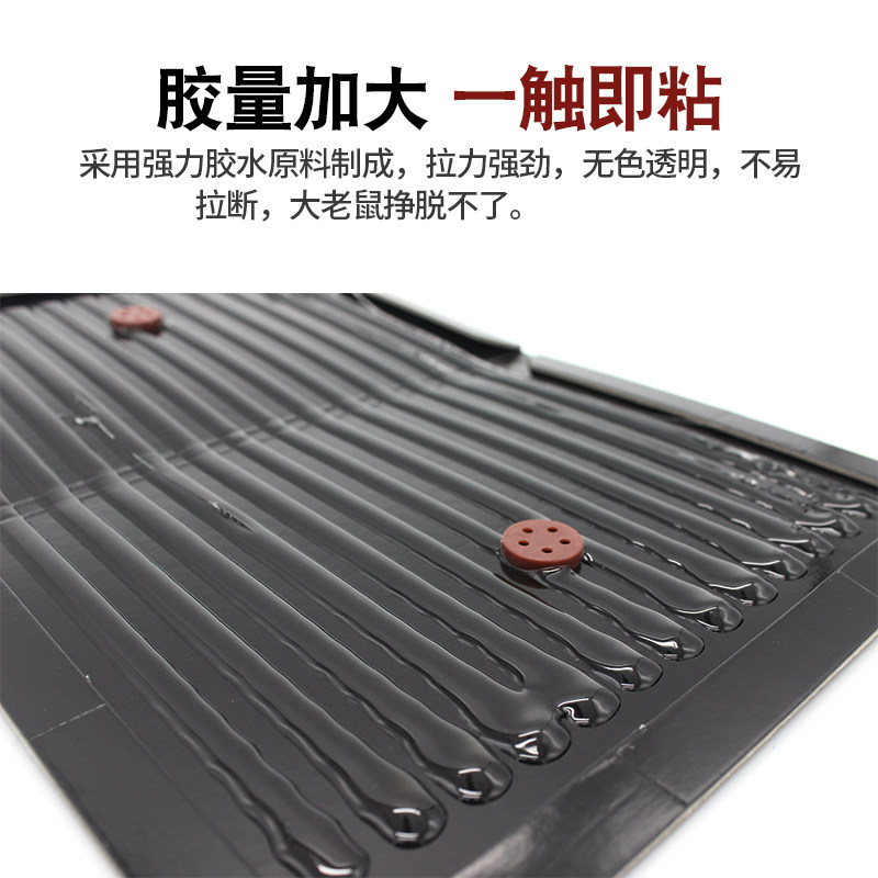 쥐와 생쥐를 쫓아내는 SANLI 끈끈한 쥐판 큰 쥐를 잡기 위한 클립 약 쥐덫 유물에 담근 케이지 접착제