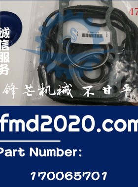 发动机TAD122KC，TD122密封垫17-00657-01，170065701港口设备