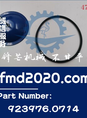 TAD760VE节温器O型圈923976.0714，20459961港口设备零部件电器件