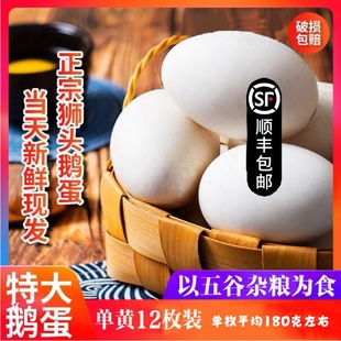 顺丰包邮狮头鹅蛋新鲜食用正宗澄海整箱大鹅蛋孕妇宝妈12个装