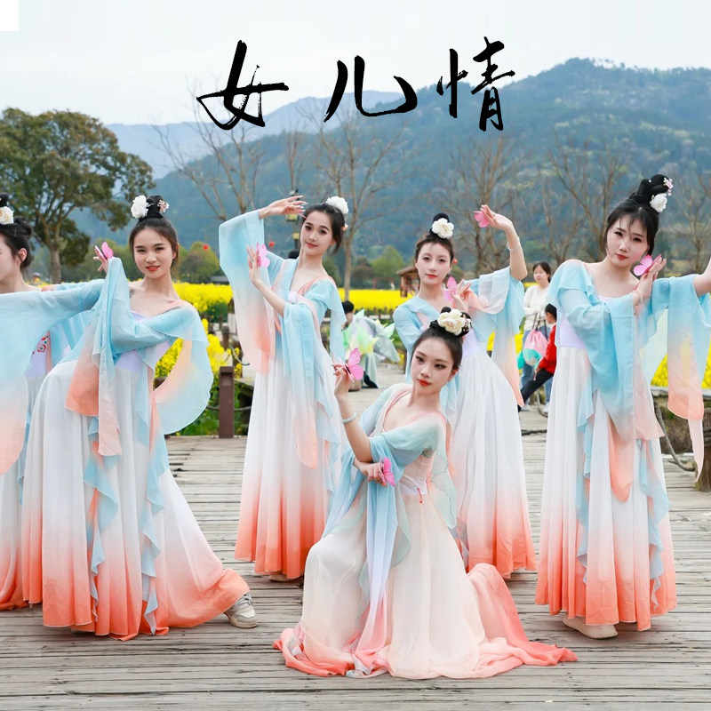 夏辉女儿情同款古风古典舞纱衣连衣裙飘逸仙气身韵练功演出服装女