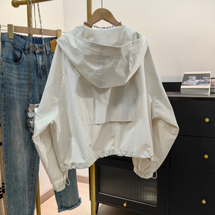 立领连帽短款风衣女秋2025新款韩系休闲宽松上衣时尚减龄夹克外套