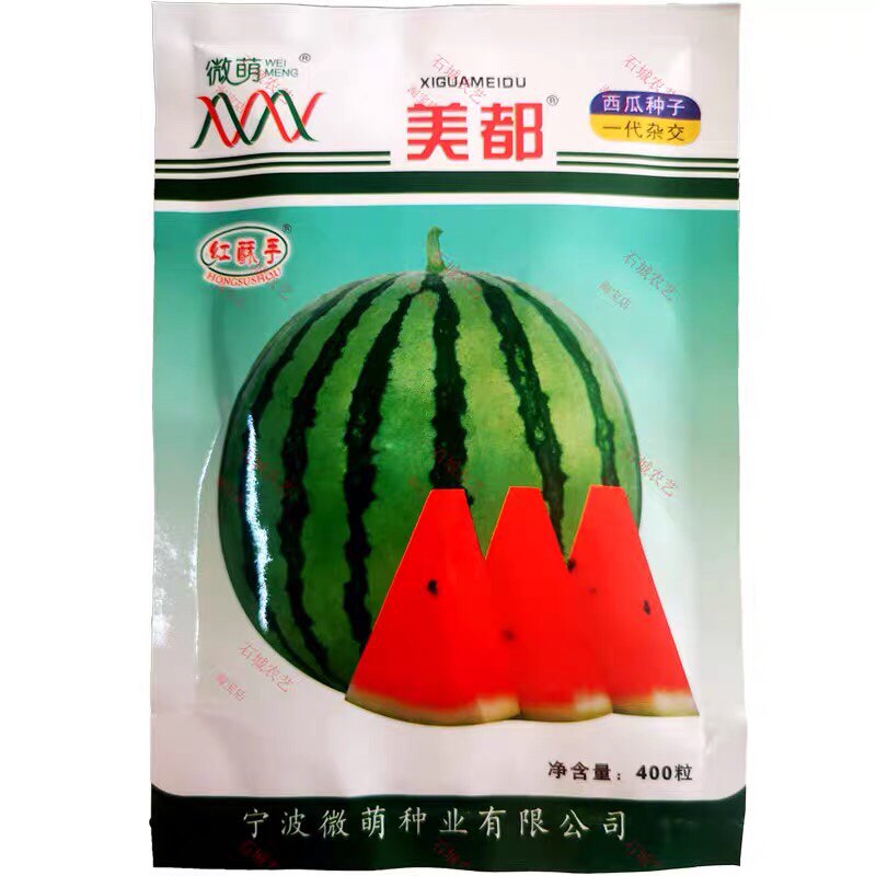 宁波微萌美都西瓜种子浙江西瓜耐放高产正宗浙江西瓜种400粒现货