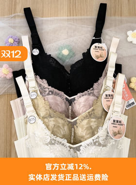 都市丽人女士新款内衣YBH2K8聚薄杯轻薄贴合BC杯聚拢软钢圈文胸