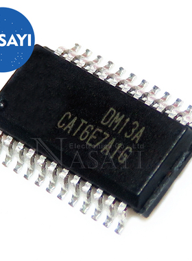 DM13A DM13 SSOP-24 窄体脚距-0.635mm