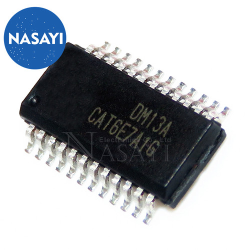 DM13A DM13 SSOP-24 窄体脚距-0.635mm