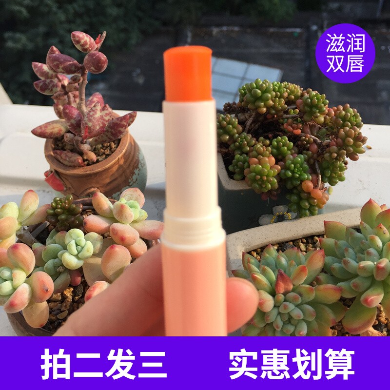 变色橘润唇膏滋润养唇修复防干裂不掉色奢华用料不沾杯淡淡茉莉香