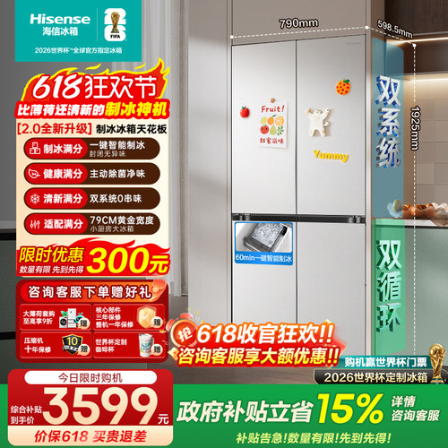 [大薄荷2.0]海信508十字制冰冰箱