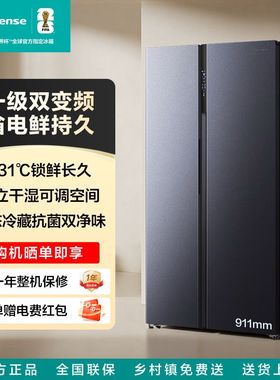 海信冰箱对开双门一级能效变频大容量家用风冷无霜 BCD-556S3D1ZG