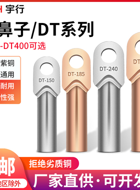 国标DT铜鼻子 铜接线端子DT10-DT500平方铜鼻子堵油铜接头线鼻子