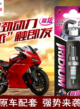 汽油机摩托车火炬A7RIU/B7RIU/D8RIU/A7TC/B7TC/D8TC/L7TC火花塞