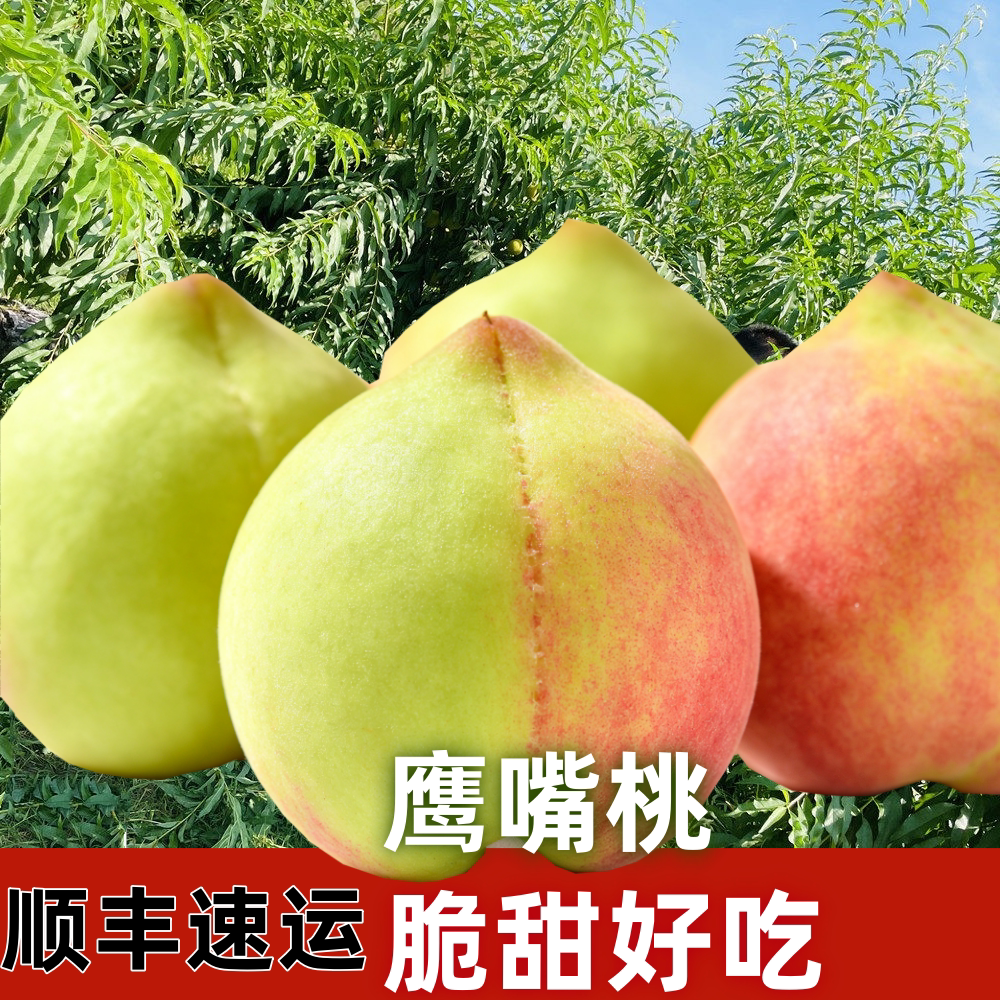 鹰嘴桃广东水果韶关乐昌龙珠村小