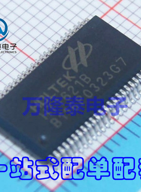 全新原装正品 HT1621B LCD驱动器芯片IC 封装SSOP-48 贴片IC