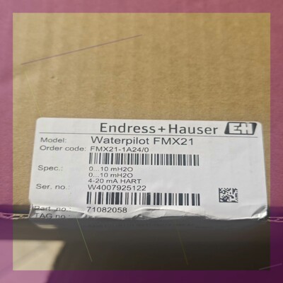 E+H waterpilot fmx21 -1a24/0静压