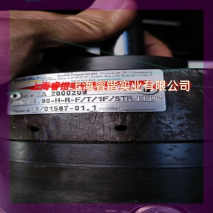 议价 3.90 EPDM STR beinlich百利齿轮泵ZPA