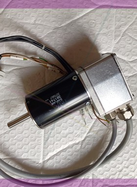 SUNFLAME旋转马达381741