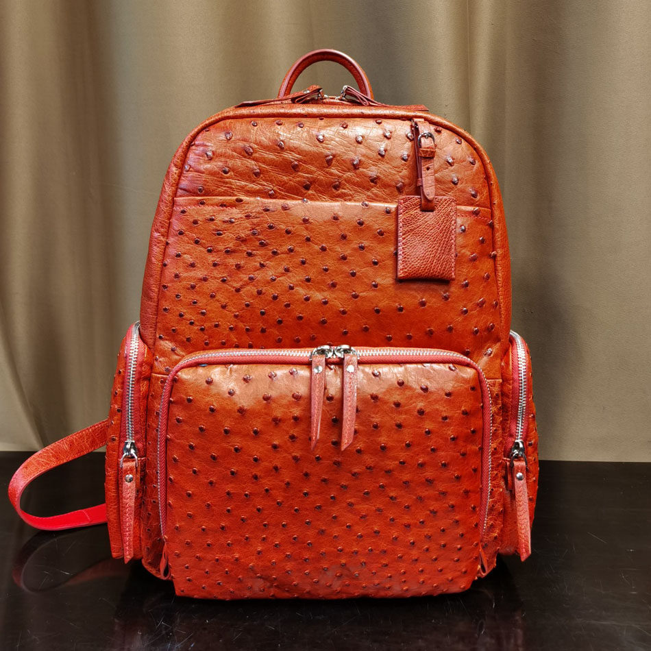 真皮男包时尚功能双肩包高端商务男士鸵鸟皮电脑背包