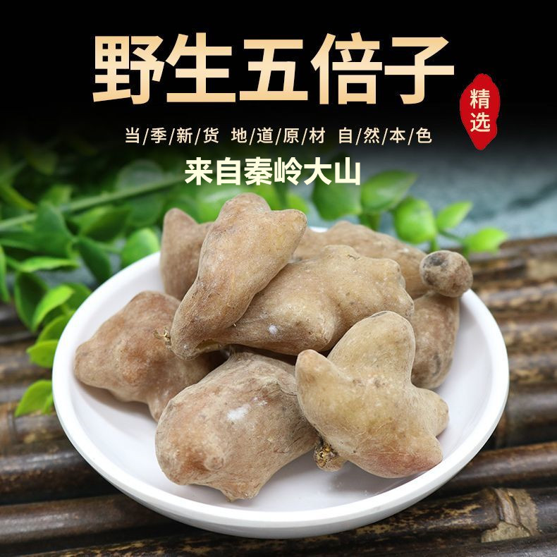 秦岭野生五倍子 中药材五倍子 陕西野生肚倍 百虫仓百药煎包邮