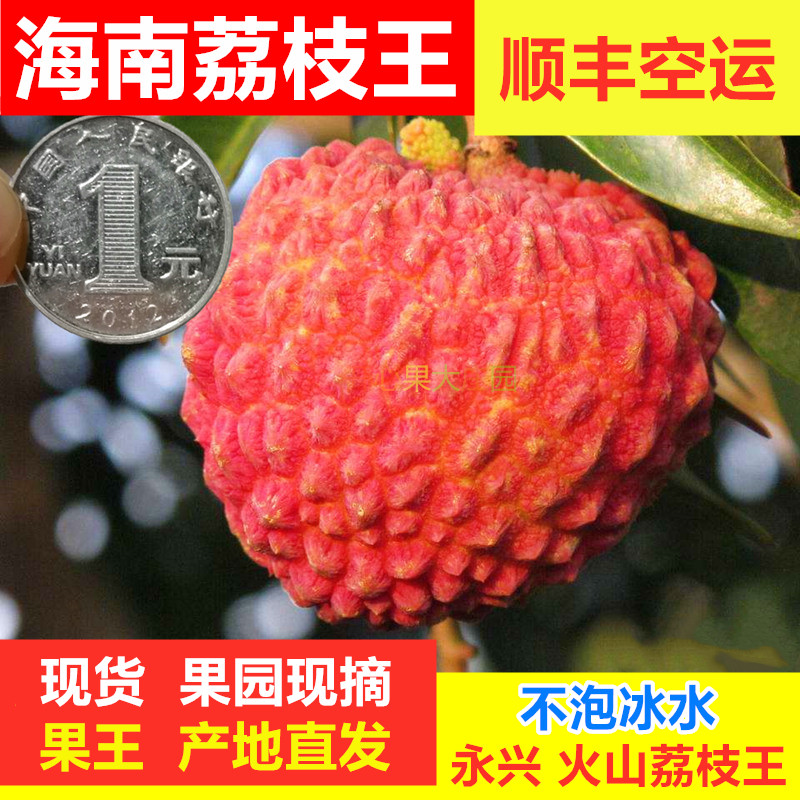 海南荔枝王火山岩新鲜超大荔枝当季水果荔枝王整箱顺丰包邮5礼盒