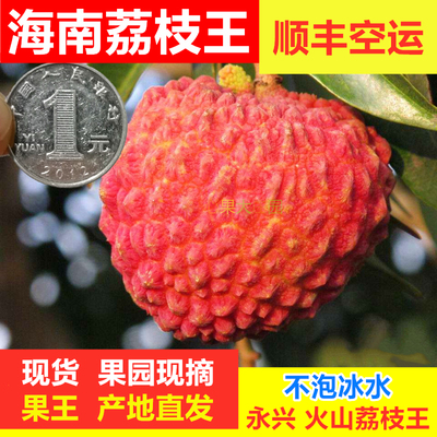 海南荔枝王火山岩新鲜超大荔枝当季水果荔枝王整箱顺丰包邮5礼盒
