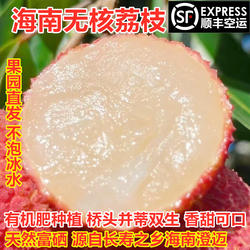 无核荔枝海南无核荔枝澄迈陆桥无籽新鲜荔枝时令水果园现摘5顺丰