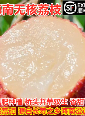 无核荔枝海南无核荔枝澄迈陆桥无籽新鲜荔枝时令水果园现摘5顺丰