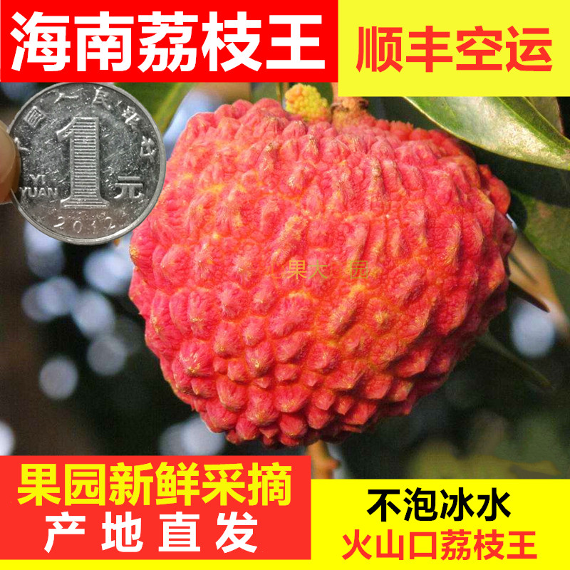 海南荔枝王火山岩新鲜大荔枝当季时令水果荔枝整箱顺丰包邮礼盒5