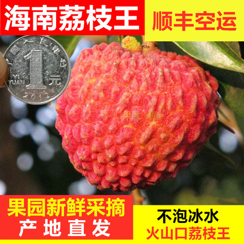 海南荔枝王火山岩新鲜大荔枝当季时令水果荔枝整箱顺丰包邮礼盒5