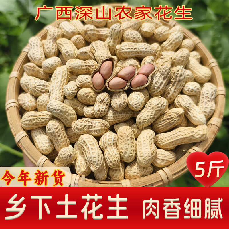 新货红皮花生带壳生新晒干图片