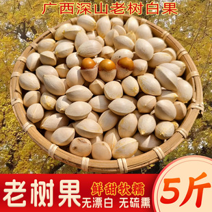 新鲜老树白果优质百果带壳银杏果白果大佛指干货特产无漂白无硫熏