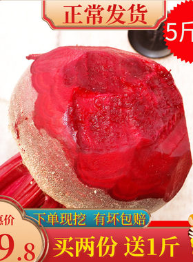 2025年新果现拔新鲜甜菜根现挖5斤火焰参打汁甜根菜甜菜头红菜头