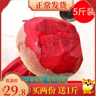 2025年新果现拔新鲜甜菜根现挖5斤火焰参打汁甜根菜甜菜头红菜头