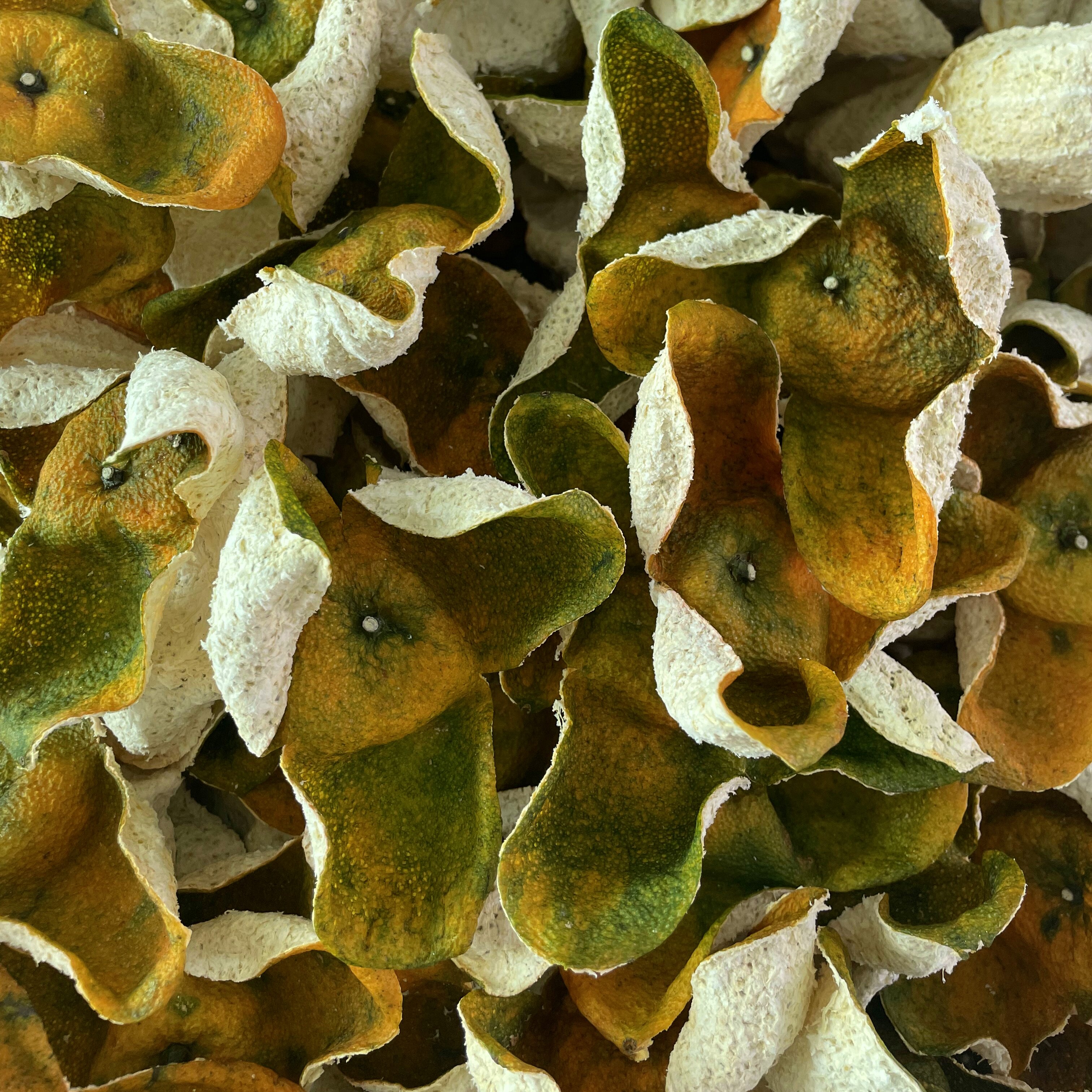 地道正宗新会三江二红柑皮太阳生晒新会柑果皮陈皮干煮泡茶水散装,零食/坚果/特产,陈皮,淘宝优惠券,粉丝福利购,淘宝优惠卷