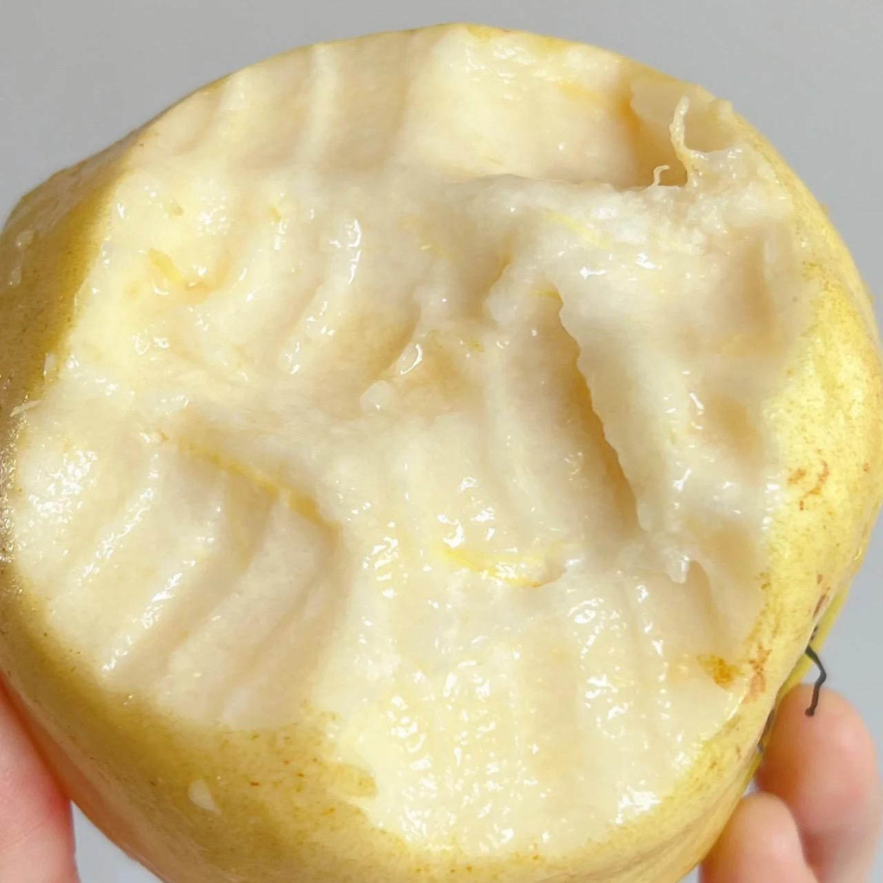 花西妃  树熟奶油白心芭乐5斤家庭装(8-12枚)口感香甜 风味浓郁