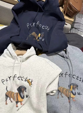 欧洲站美式复古连帽卫衣女2024新款秋冬季宽松小众设计感上衣加厚