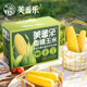 美番乐香糯玉米内蒙古黏玉米棒需蒸煮真空礼盒装 2400g东北糯苞米