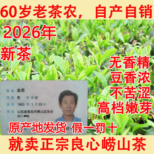 农民自种崂山绿茶2026年新茶大田春茶豆香浓郁崂茶农崂山茶青岛