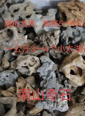 广西天然小太湖石原石微盆景菖蒲植物小假山盆景天然石头假一赔十